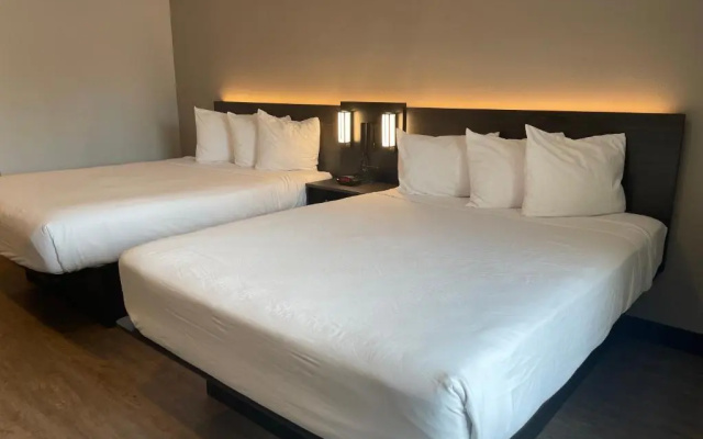 Double Suite