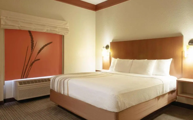 1 Bedroom Double Suite