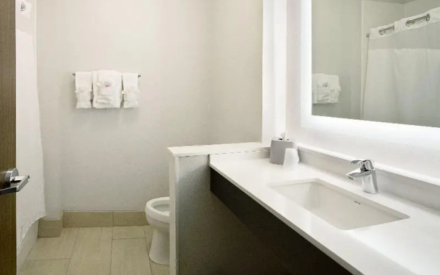Standard Suite
