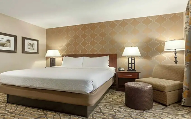 1 Bedroom Double Suite
