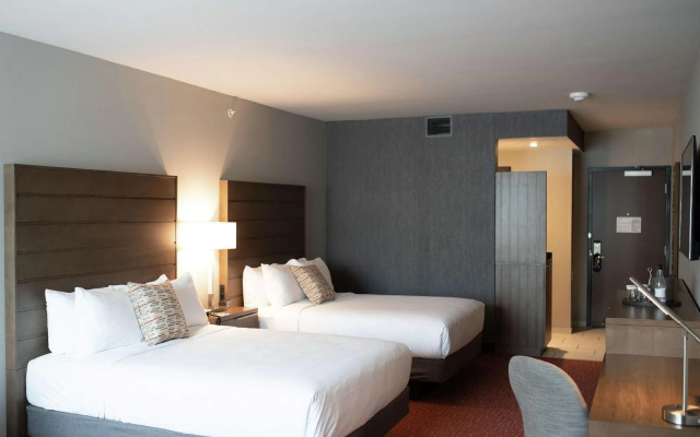 Quadruple Studio Suite