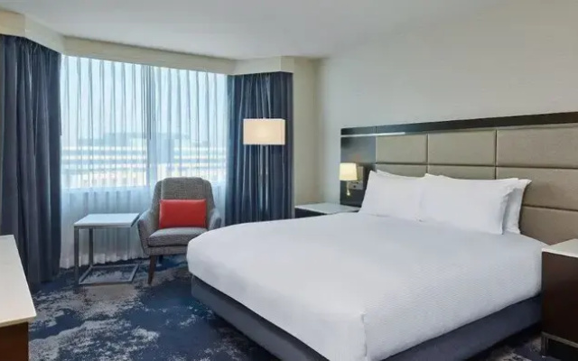 1 Bedroom Double Suite