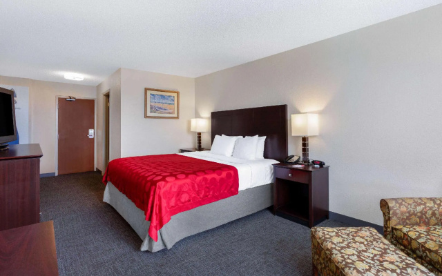 Standard Double room with pool view