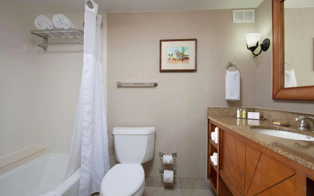 Standard Double room with balcony and with bay view