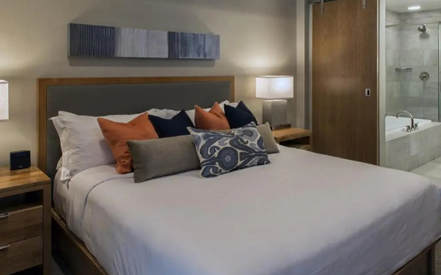 1 Bedroom Apartment