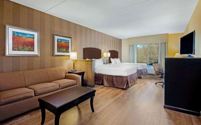 Suite