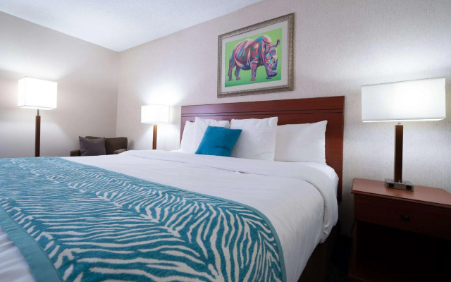 Double Suite