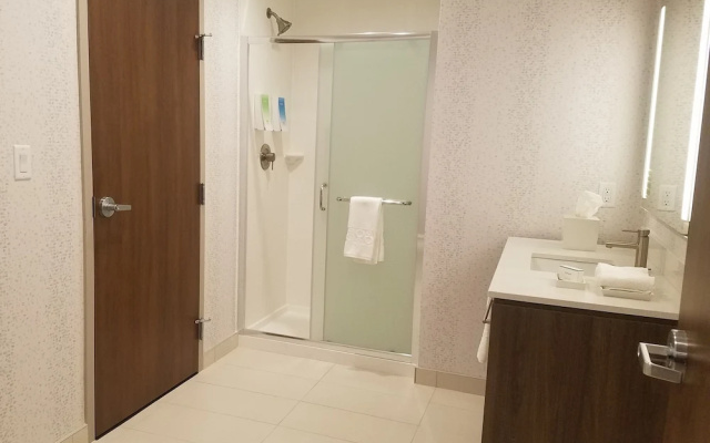 1 Bedroom Suite