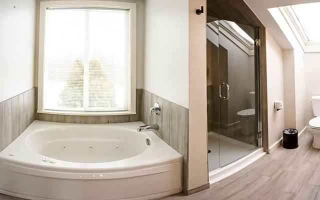 Standard Double Penthouse room