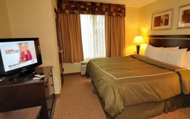 1 Bedroom Suite
