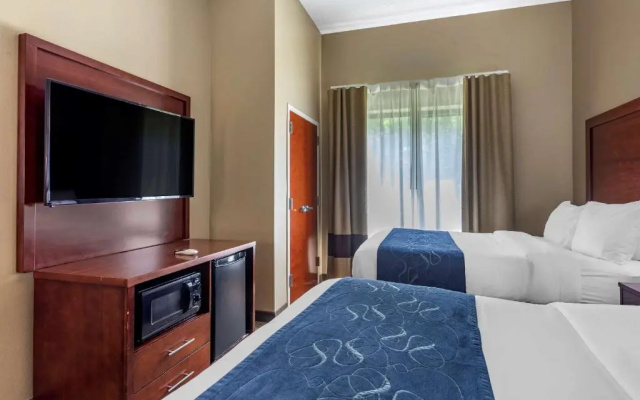Standard Suite