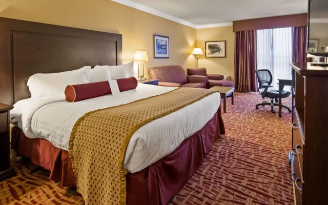 Single Suite