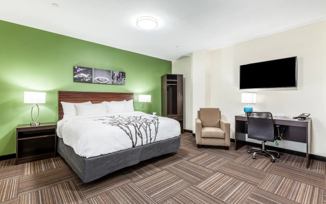 Luxury Apartment