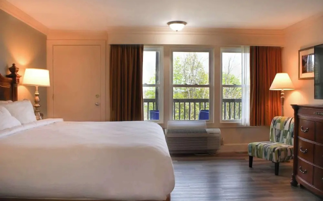 Standard Quadruple room with land view