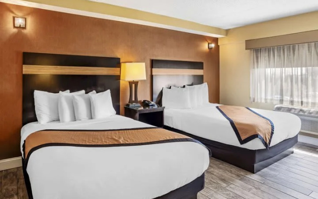 Superior room