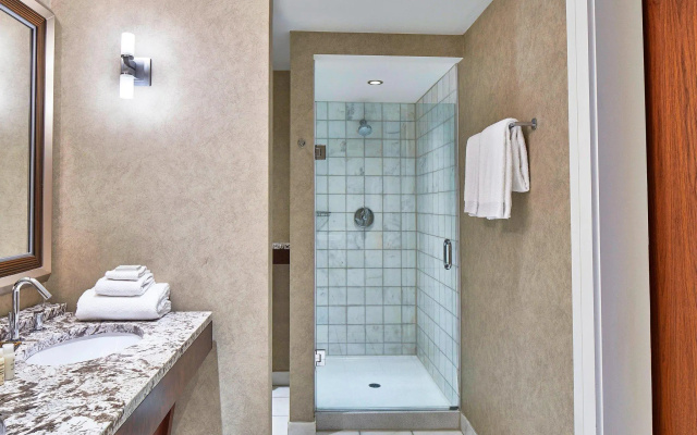 1 Bedroom Executive Double Suite with city view