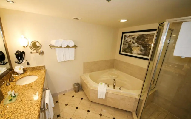 1 Bedroom Suite