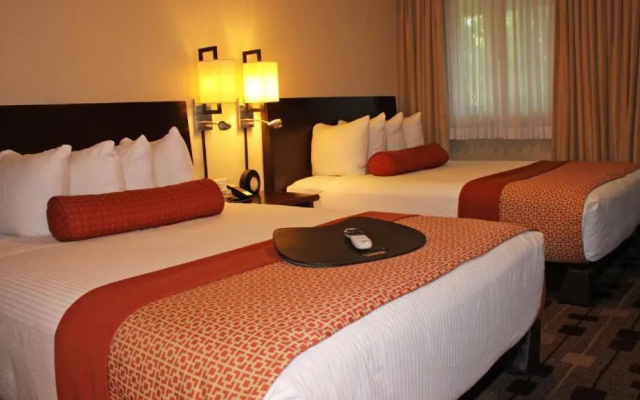 2 Bedrooms Suite
