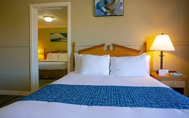 1 Bedroom Quadruple Suite