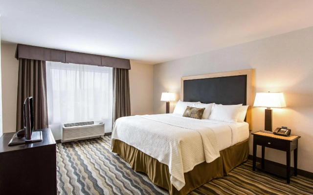 1 Bedroom Suite