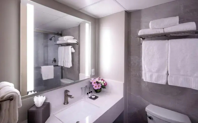 Premier Double room with balcony and with view