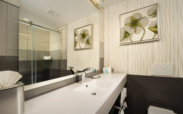 Standard Double room with mountain view