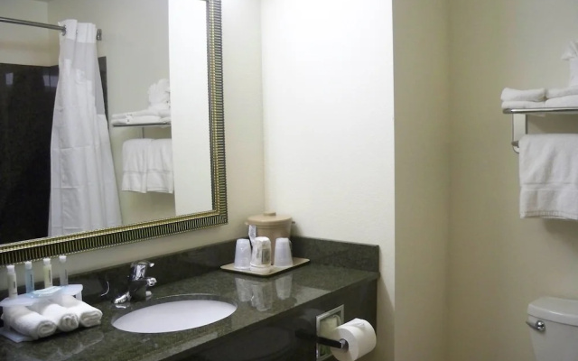 1 Bedroom Suite