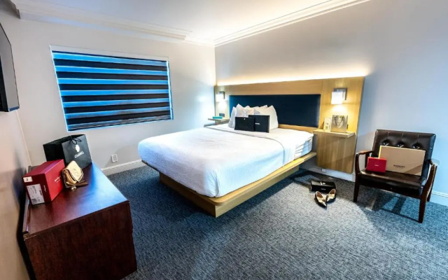 1 Bedroom Double Suite