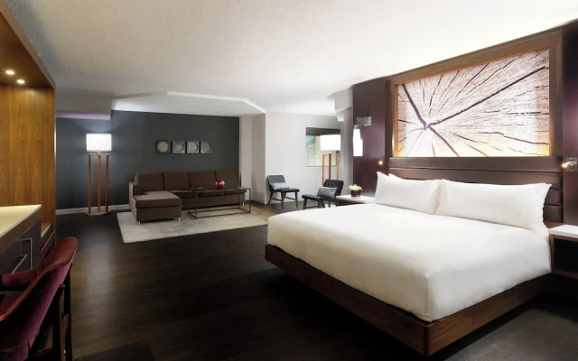 1 Bedroom Executive Suite