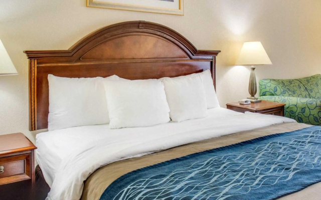 1 Bedroom Suite