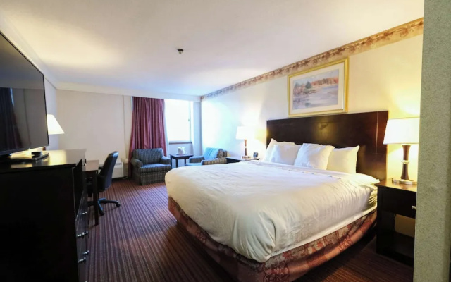 Standard Double room with courtyard view
