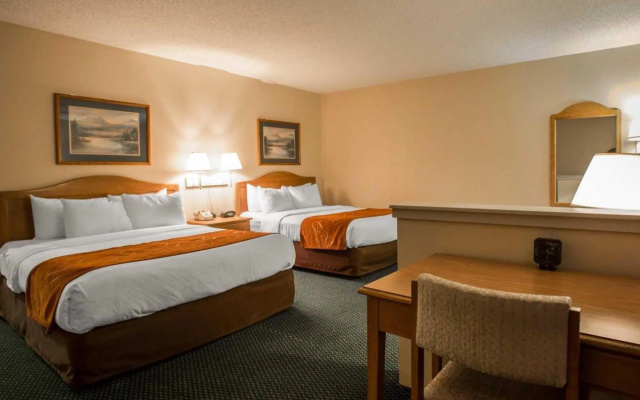 Quadruple Suite