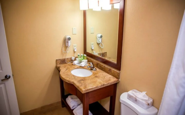 Standard Suite