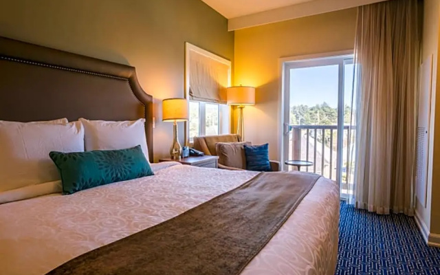 Double Suite with city view