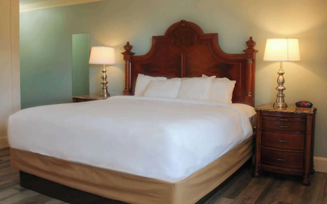 Standard room with land view