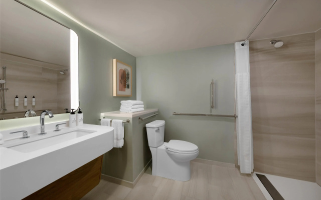 Deluxe Accessible Double room