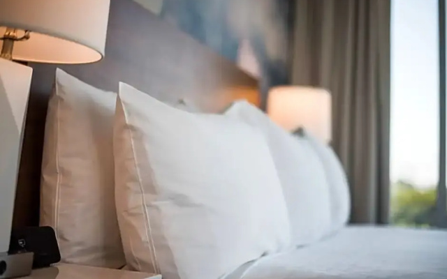 1 Bedroom Suite