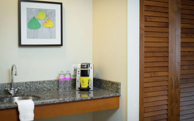 1 Bedroom Suite