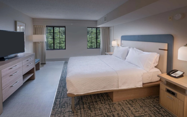 1 Bedroom Suite