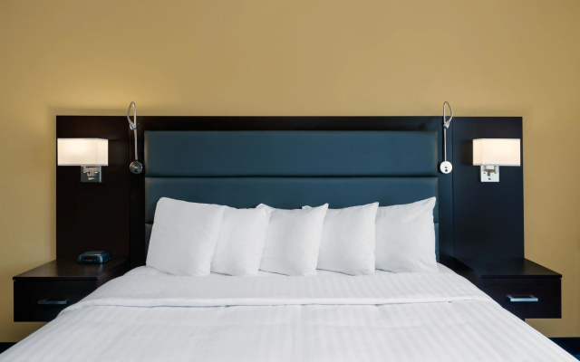 Double Suite