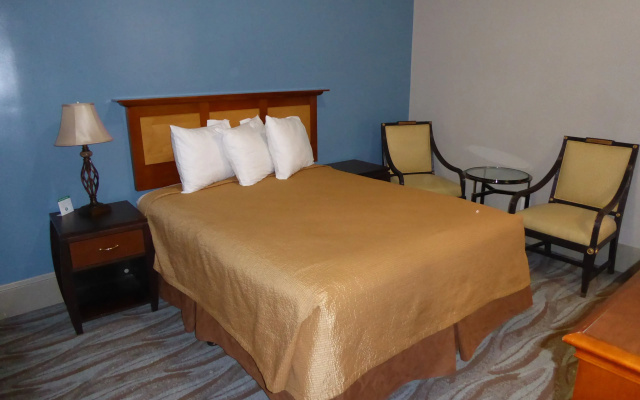 Deluxe room with city view