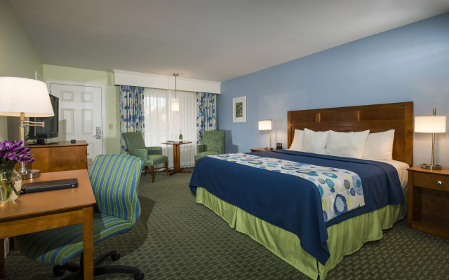 Premium room