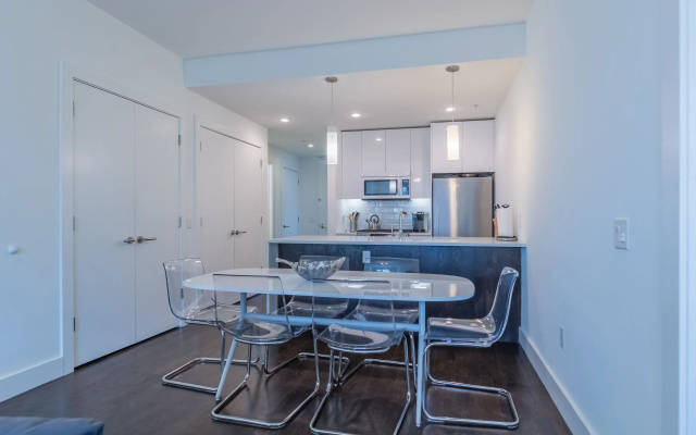 Luxury Apartment