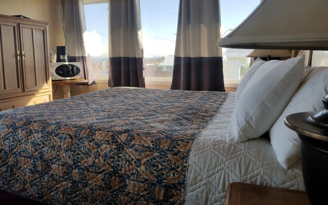 Standard Double room with garden view