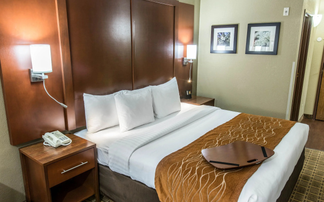 Executive Double Suite