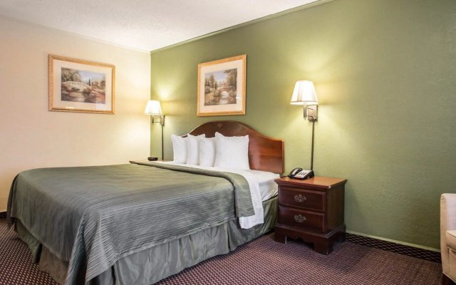 Standard Double room
