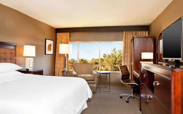 Standard Double room with pool view