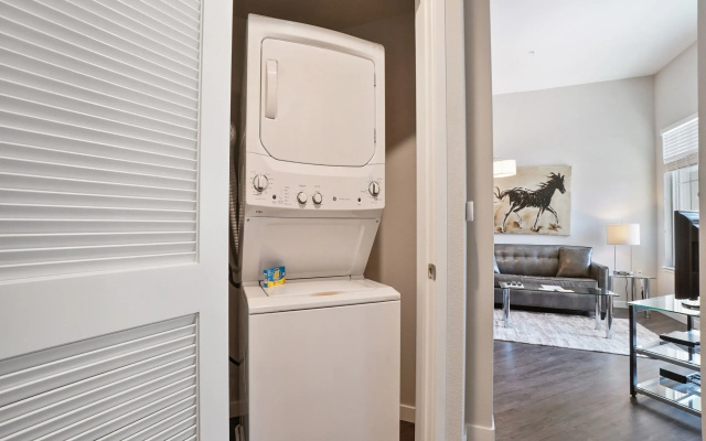 Luxury Apartment