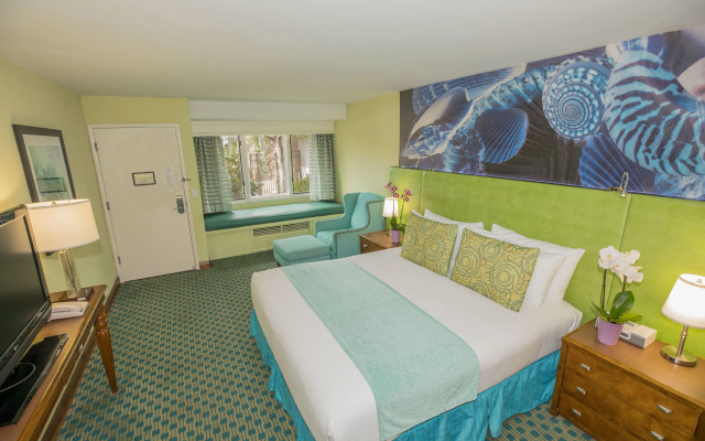 Standard Double room with pool view