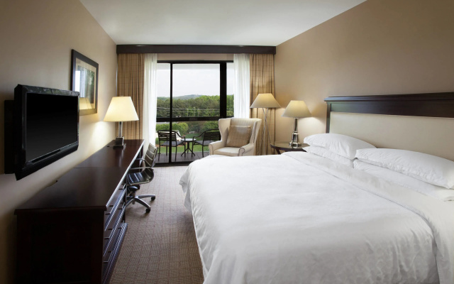 Standard Double Club room with balcony and with garden view